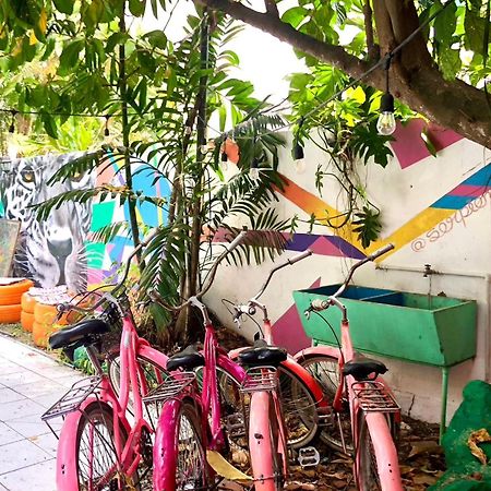 Zebulo Hostel Panama City Exterior photo
