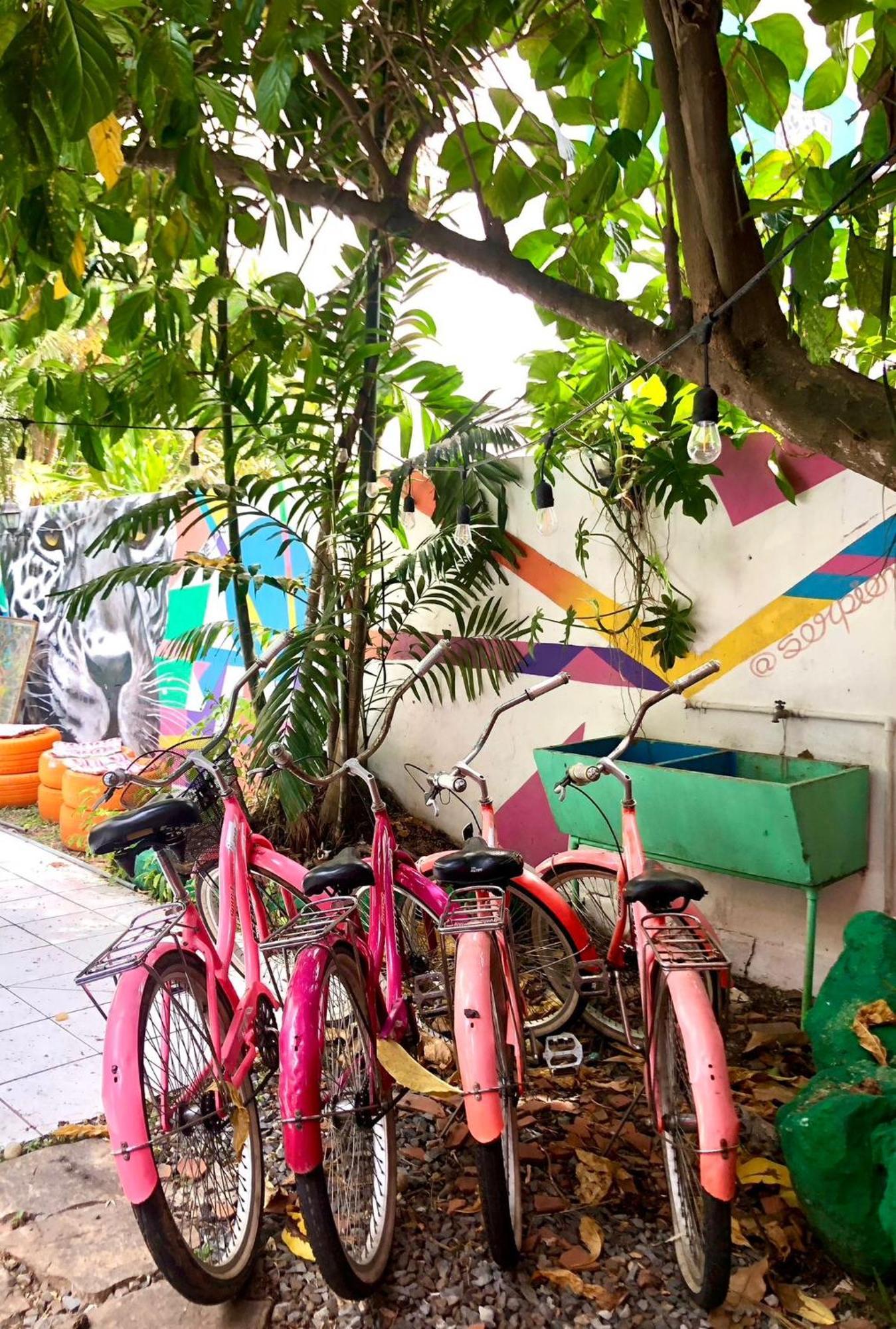 Zebulo Hostel Panama City Exterior photo
